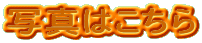 �ʐ^�͂�����