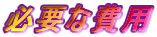 �K�v�Ȕ�p