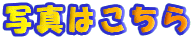 �ʐ^�͂�����